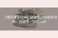 【博天堂足球网】欧联盘口与赔率深解：白皮书 · D600800