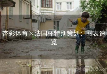 杏彩体育×法国杯特别策划：图表速览