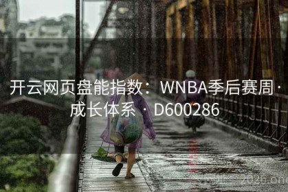 开云网页盘能指数：WNBA季后赛周·成长体系 · D600286