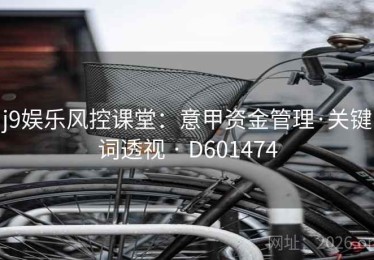 j9娱乐风控课堂：意甲资金管理·关键词透视 · D601474