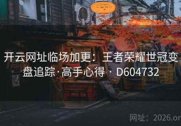 开云网址临场加更：王者荣耀世冠变盘追踪·高手心得 · D604732