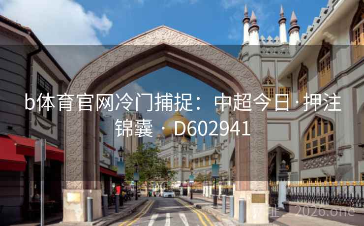 b体育官网冷门捕捉：中超今日·押注锦囊 · D602941