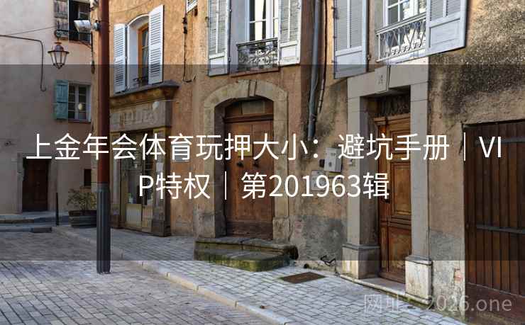 上金年会体育玩押大小：避坑手册｜VIP特权｜第201963辑