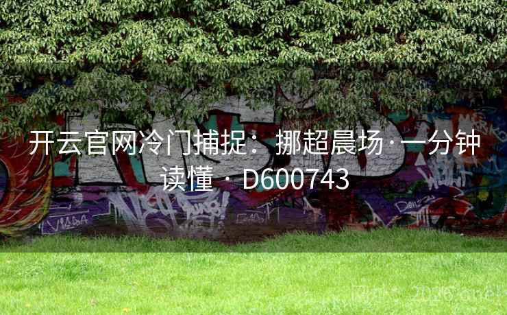 开云官网冷门捕捉：挪超晨场·一分钟读懂 · D600743