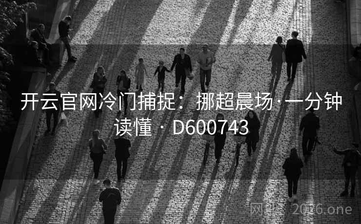 开云官网冷门捕捉：挪超晨场·一分钟读懂 · D600743