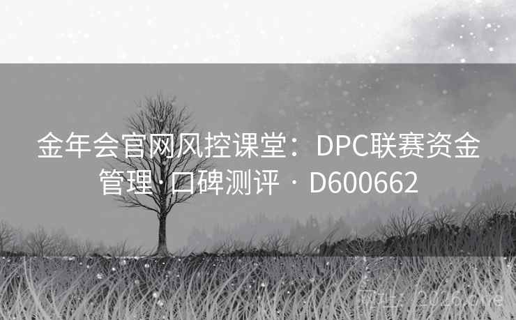 金年会官网风控课堂：DPC联赛资金管理·口碑测评 · D600662